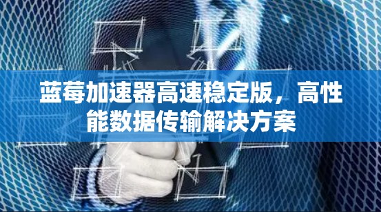 蓝莓加速器高速稳定版，高性能数据传输解决方案