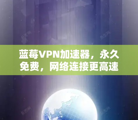 蓝莓VPN加速器,永久免费,网络连接更高速
