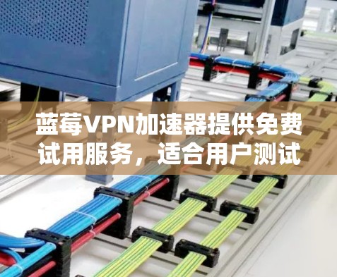 蓝莓VPN加速器提供免费试用服务，适合用户测试其功能。以下是详细的步骤和注意事项