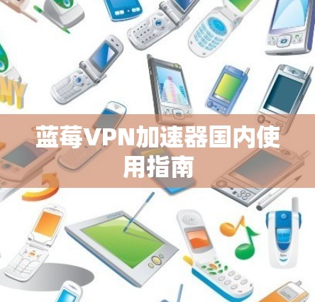 蓝莓VPN加速器国内使用指南