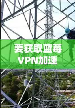 要获取蓝莓VPN加速器的最新官方版本，请按照以下步骤操作