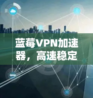 蓝莓VPN加速器，高速稳定，提升网络体验