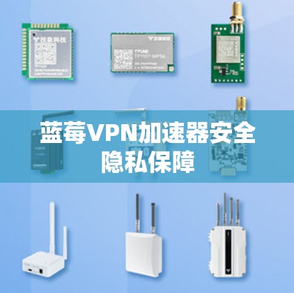 蓝莓VPN加速器安全隐私保障