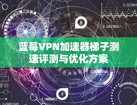 蓝莓VPN加速器梯子测速评测与优化方案