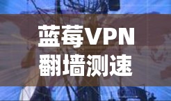 蓝莓VPN翻墙测速实践与分析