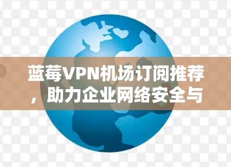 蓝莓VPN机场订阅推荐，助力企业网络安全与稳定