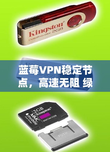 蓝莓VPN稳定节点，高速无阻 绿色通行