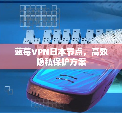 蓝莓VPN日本节点，高效隐私保护方案