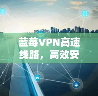 蓝莓VPN高速线路，高效安全的通信解决方案