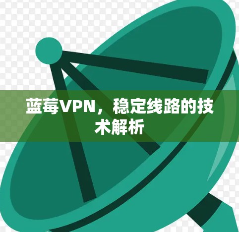 蓝莓VPN，稳定线路的技术解析