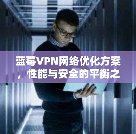 蓝莓VPN网络优化方案，性能与安全的平衡之道