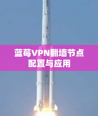 蓝莓VPN翻墙节点配置与应用