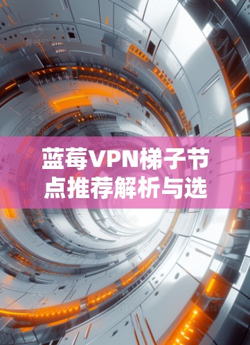 蓝莓VPN梯子节点推荐解析与选择指南