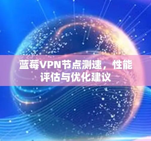 蓝莓VPN节点测速，性能评估与优化建议