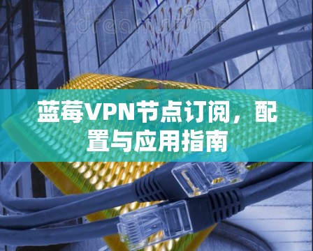 蓝莓VPN节点订阅，配置与应用指南