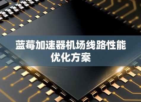 蓝莓加速器机场线路性能优化方案