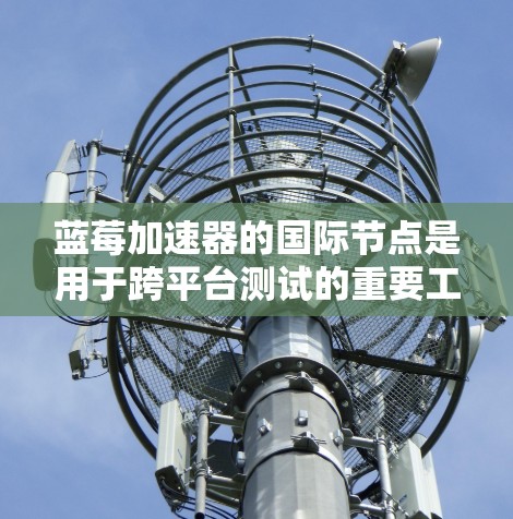蓝莓加速器的国际节点是用于跨平台测试的重要工具，它允许开发者在全球范围内部署测试设备，从而覆盖更多的地理位置和用户行为。以下是关于蓝莓加速器国际节点的一些详细信息