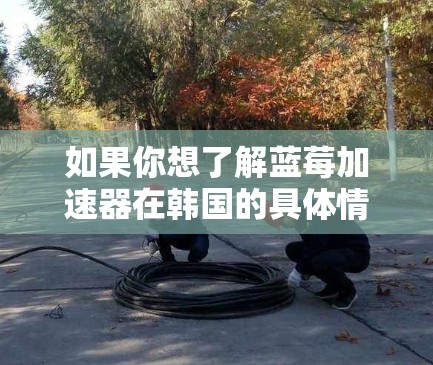 如果你想了解蓝莓加速器在韩国的具体情况，可能需要查阅相关的科研报告或新闻报道。以下是一些可能的方向