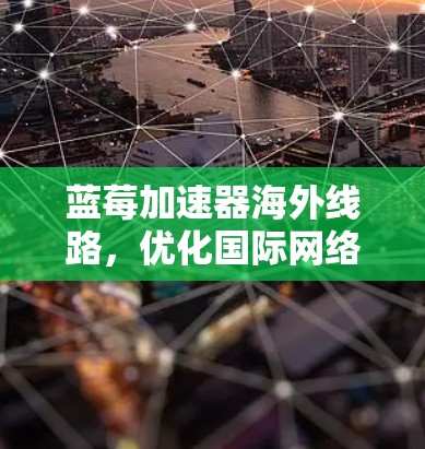 蓝莓加速器海外线路，优化国际网络传输效率