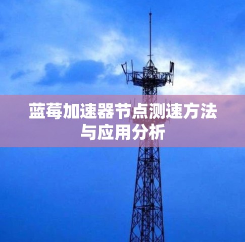 蓝莓加速器节点测速方法与应用分析