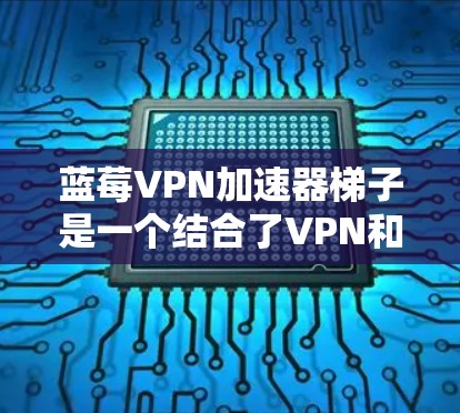 蓝莓VPN加速器梯子是一个结合了VPN和梯子网络的工具，旨在为用户提供更高效、更安全的网络访问方式。以下是关于蓝莓VPN加速器梯子的详细说明
