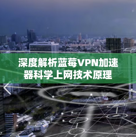 深度解析蓝莓VPN加速器科学上网技术原理