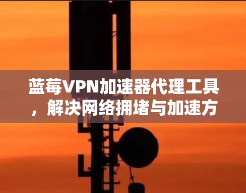 蓝莓VPN加速器代理工具，解决网络拥堵与加速方案