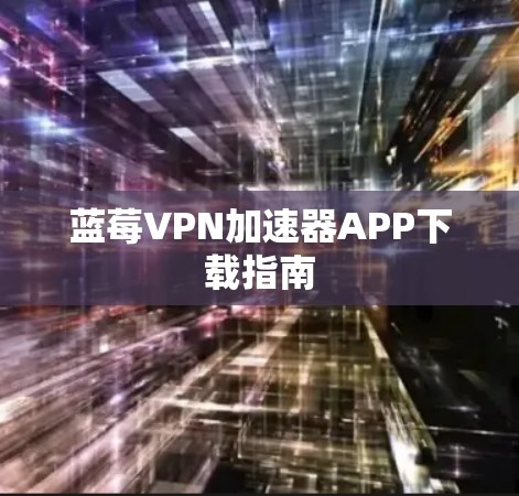 蓝莓VPN加速器APP下载指南