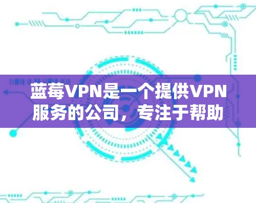 蓝莓VPN是一个提供VPN服务的公司，专注于帮助用户访问境外网站和防止网络监控。以下是关于蓝莓VPN安卓客户端的详细指南